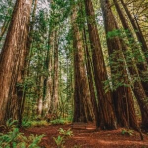 OCT 25 SANTA CRUZ DAY ADVENTURE
